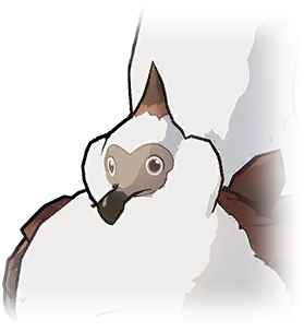 嘟噜