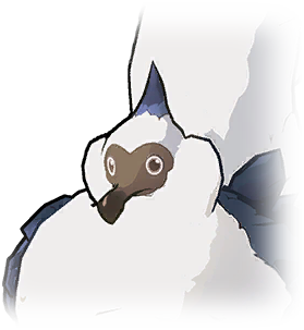 嘟噜 异色 1